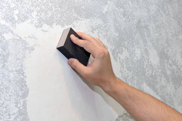 Best Mold Removal for HVAC Installations  in La Cygne, KS