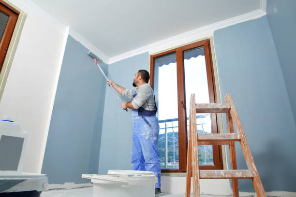 Best Emergency Mold Remediation  in La Cygne, KS