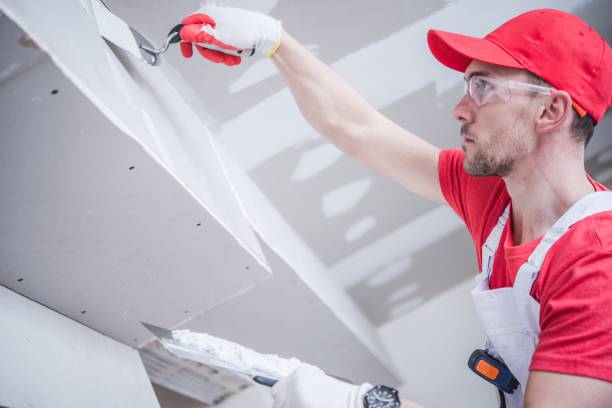 Best Attic Mold Removal  in La Cygne, KS