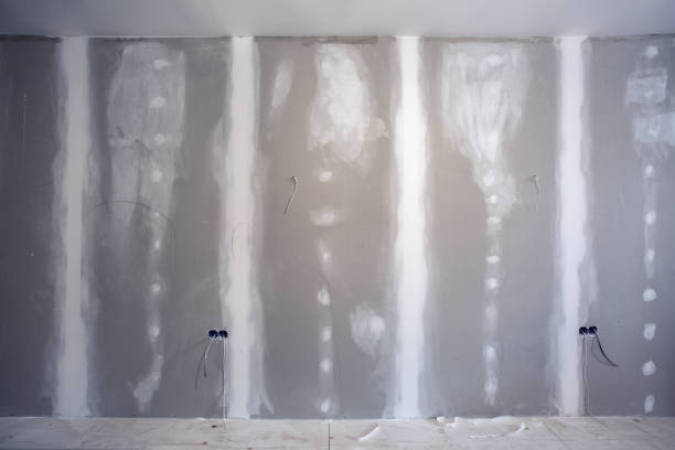 Best Commercial Mold Inspection  in La Cygne, KS